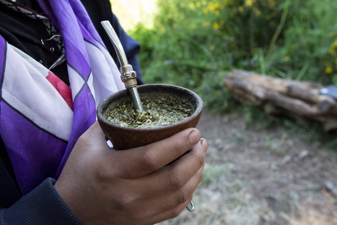 El Aislamiento Social Preventivo y Obligatorio en el Municipio Intercultural de Bariloche, Río&nbsp;Negro