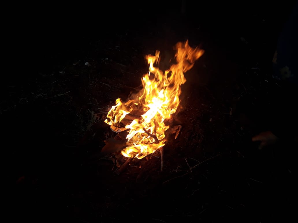 Wüñoy Txipantu: Reflexiones de la comunidad Millalonco&nbsp;Ranquehue