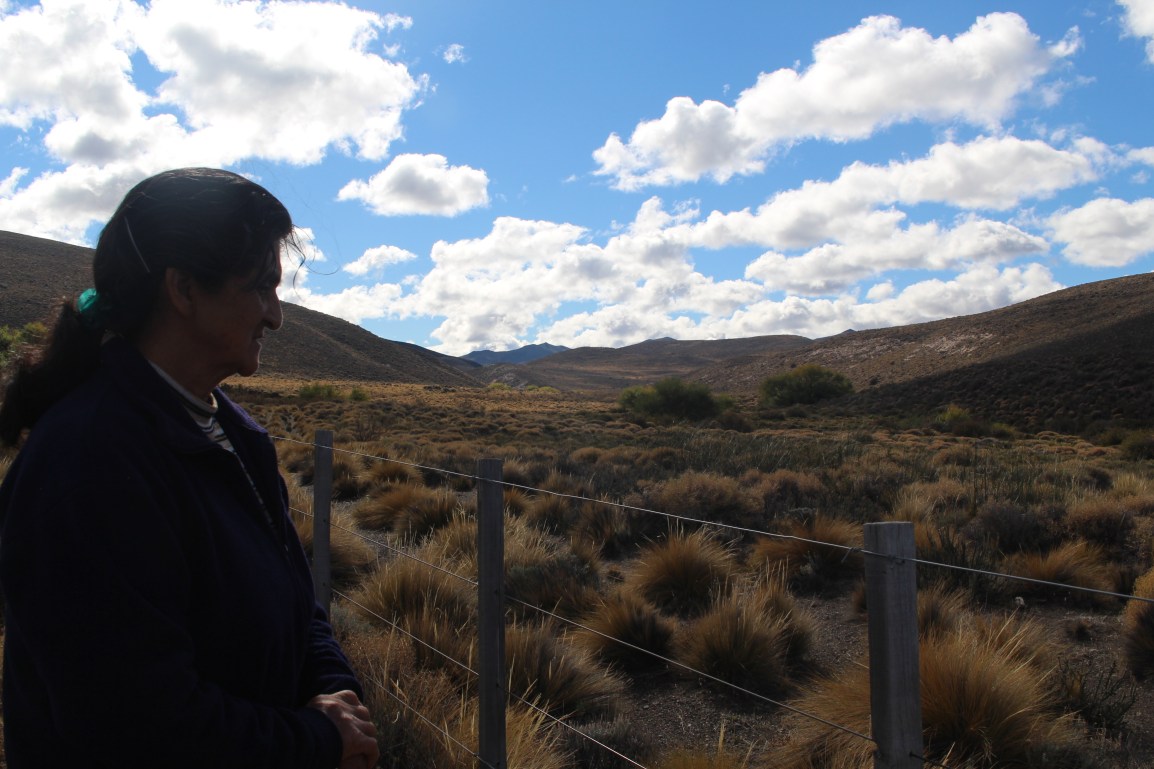 La memoria escrita en el territorio: Relatos de un camino ancestral en Boquete&nbsp;Nahuelpan