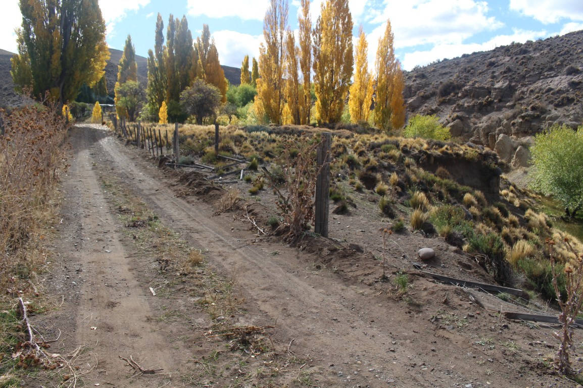 Descargo de la Comunidad Nahuelpan por el cierre del&nbsp;camino
