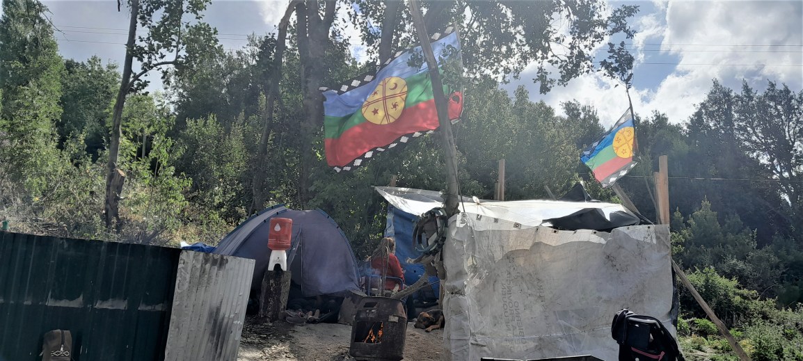 Resguardar el territorio y «todas las vidas»: el reclamo de la comunidad Paicil Anxiaw frente al avance de la empresa&nbsp;Conevial