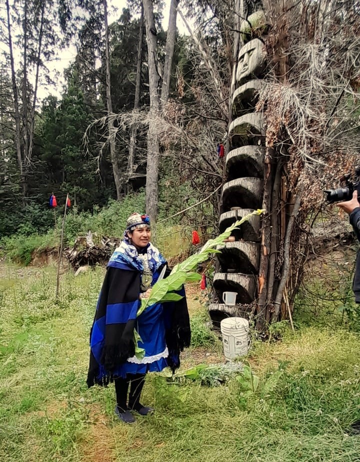 «A pesar del distanciamiento impuesto, nuestro vínculo con el territorio es incondicional»:un trawn en la lof Lafken Winkul Mapu&nbsp;(Mascardi)