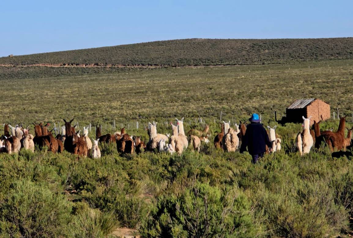 II Jornadas. Conflictos (ideológicos, epistemológicos y ontológicos) y reemergencias&nbsp;indígenas